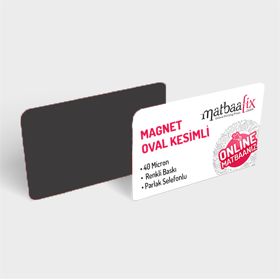 Mıknatıslı Magnet